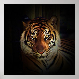 Póster de Ojos de Tigre - Impresiones de Arte de V
