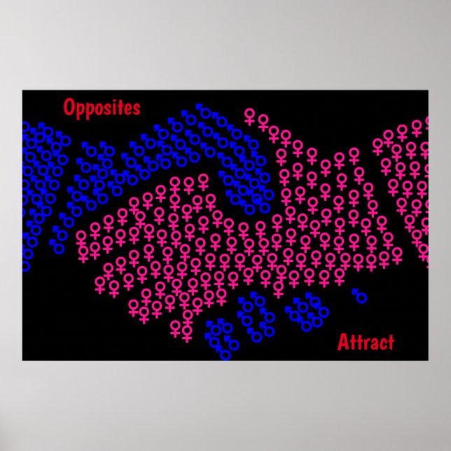 Póster de opuestos que se atraen (Frente)