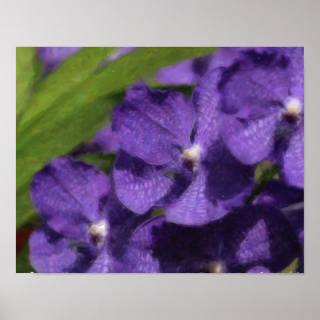 Póster de orquídea tropical hawaiana (Frente)