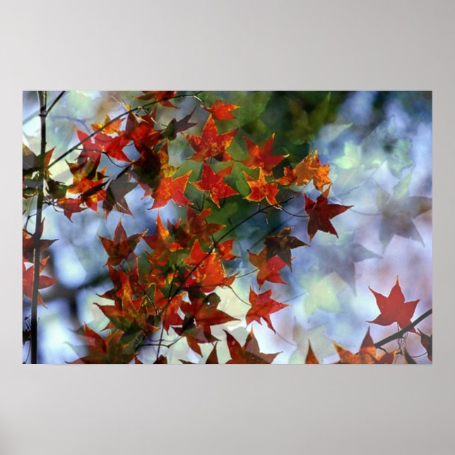 Póster de Otoño Dulce (Frente)