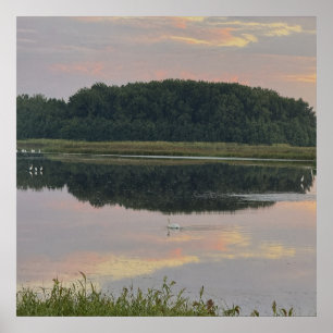 Póster de paisaje acuático de reflejos de puesta d