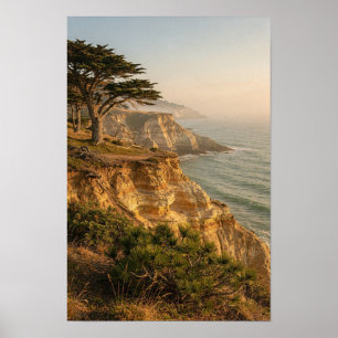 Póster de paisaje de ciprés iluminado por el sol y