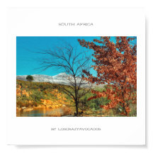 Póster de paisaje de invierno y otoño de Sudáfrica