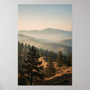 Póster de paisaje de la cresta de pino brumoso al
