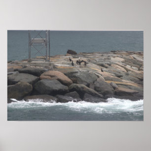 Póster de paisaje marino con rocas y aves