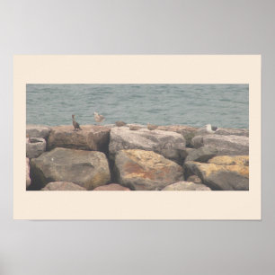 Póster de paisaje marino con rocas y pájaros