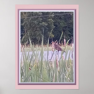Póster de pájaro en la hierba alta