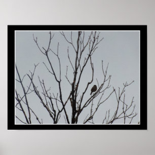 Póster de pájaro en un árbol desnudo