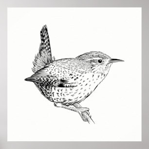 Poster de pájaro / Wren de arte de pared