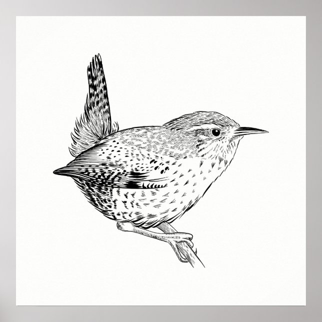 Poster de pájaro / Wren de arte de pared (Frente)