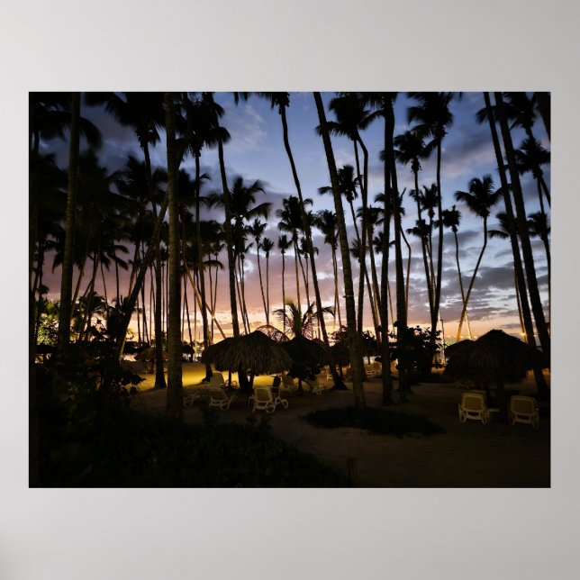 Póster de palmeras y puesta de sol (Frente)