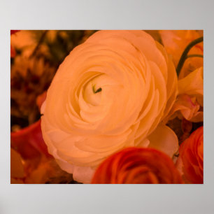 Póster de papel archivador Belleza alrededor 20 x