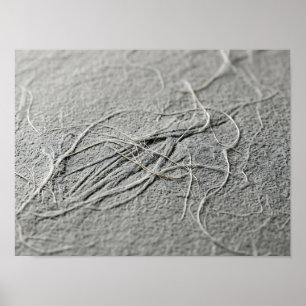 Póster de papel con textura de fibra enmarañada gr