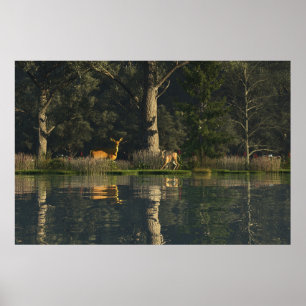 Póster de papel de 30" x 24" con imagen "Sobresalt