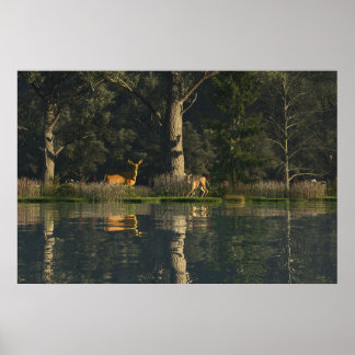 Póster de papel de 30" x 24" con imagen "Sobresalt