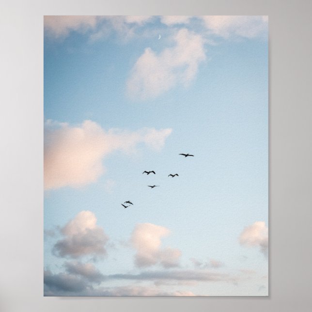 Póster de papel de puesta de sol de pelícano (semi (Frente)