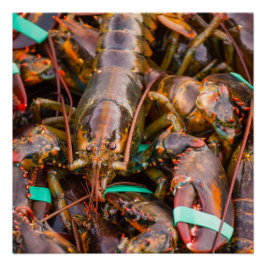 Póster de papel Fresh Off The Boat 20x20 (Semi-Glo