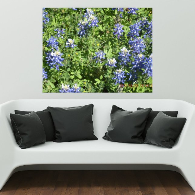 Póster de pared de vibrante Texas Bluebonnet (Subido por el creador)