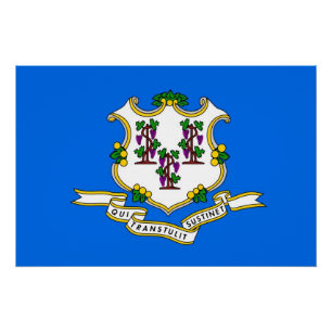 Poster de pared patriótico con bandera de Connecti