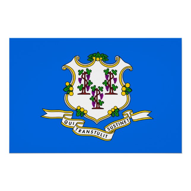 Poster de pared patriótico con bandera de Connecti (Anverso)