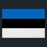 Poster de pared patriótico con bandera de Estonia<br><div class="desc">¡Celebren el patrimonio estonio y el orgullo nacional con este impactante poster patriótico en la pared que muestra la bandera de Estonia! Diseñado para hacer una declaración audaz en cualquier espacio, este poster de pared muestra con detalle vívido las icónicas franjas horizontales de azul, negro y blanco. Ya sea que...</div>