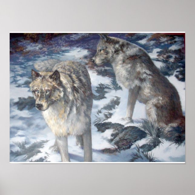 Póster de pareja de lobos de Alaska en invierno (Frente)