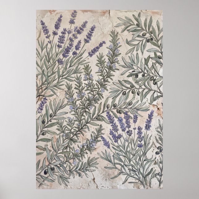 Póster de patrón botánico de olivo lavanda (Frente)