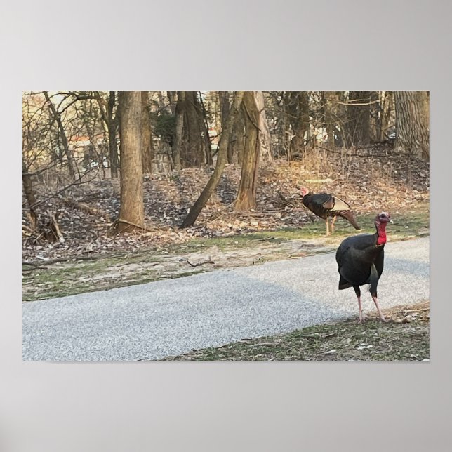 Póster de Pavos Salvajes (Frente)