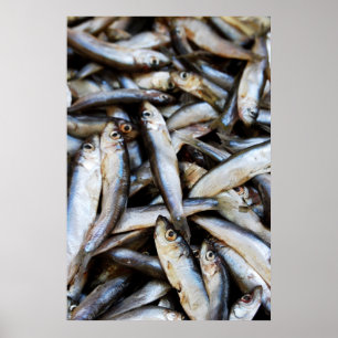 Póster de peces en primer plano