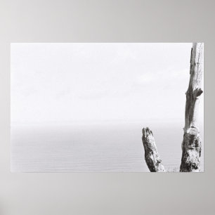 Póster de película Kodak minimalista monocromo de 