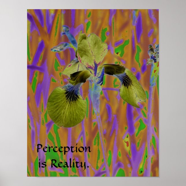 Póster de Percepción es Realidad-Iris (Frente)