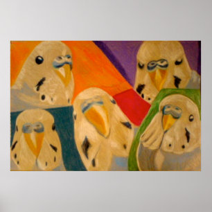 Póster de periquito Budgie
