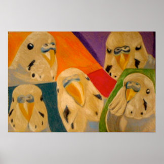 Póster de periquito Budgie