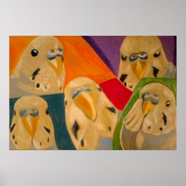 Póster de periquito Budgie (Frente)