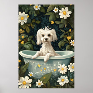 Póster de perro crestado chino en bañera, perro di