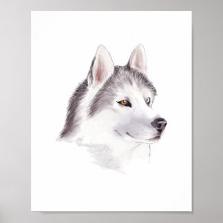 Póster de perro Husky / carteles de animales