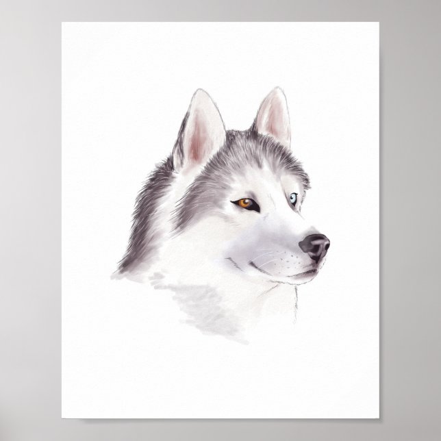 Póster de perro Husky / carteles de animales (Frente)