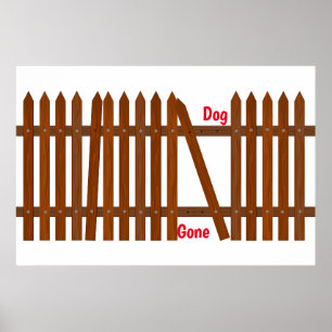 Póster de Perro Perdido