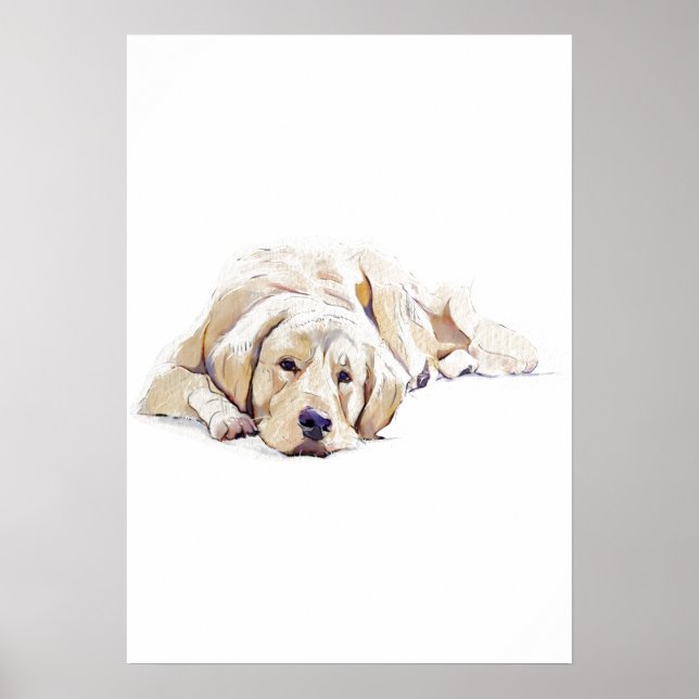 Póster de Perro Retriever Dorado - Regalo para Ama (Frente)