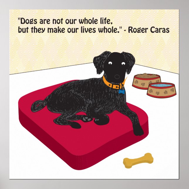 Póster de Perros no son toda nuestra vida (Frente)