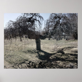 Póster De pie en el viento