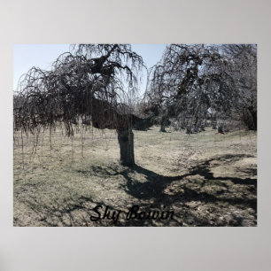 Póster De pie en el viento