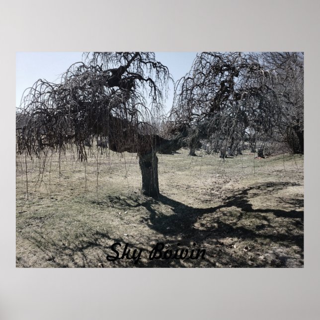 Póster De pie en el viento (Frente)