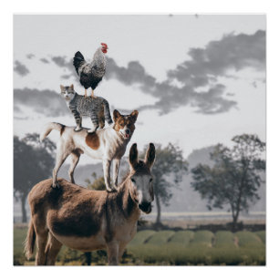 Poster De Pilas De Burro, Perro, Gato Y Gallo