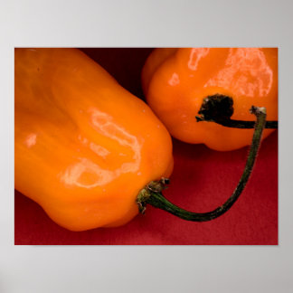 Póster de pimientos habaneros picantes