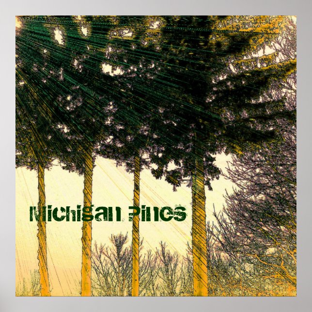 Póster de pinos de Michigan (Frente)