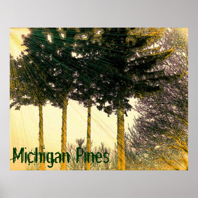 Póster de pinos de Michigan (Frente)
