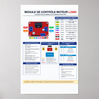 Póster de Pinout del controlador de motor L298N A3