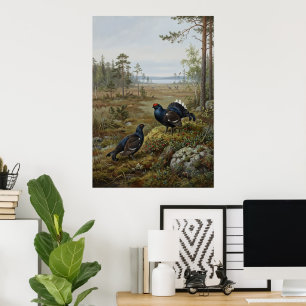 Póster de pintura de fauna silvestre de urogallo d