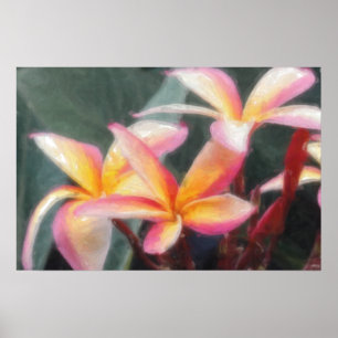 Póster de Plumeria Tropical Hawaiana